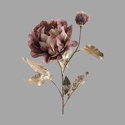 Mű bazsarózsa ág, fényes pezsgőszínű szárral és levelekkel, barna színárnyalatú nyílt és bimbós virágfejekkel.