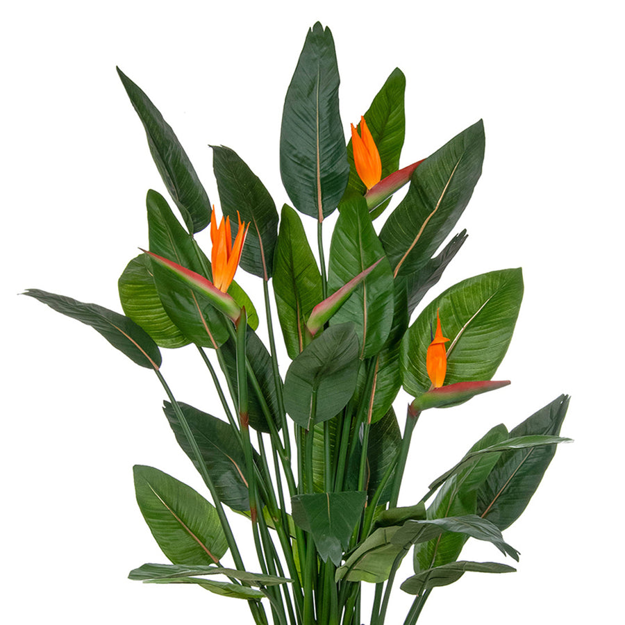 Tűzálló strelitzia műnövény virágzó papagájvirágokkal, részletfotó.