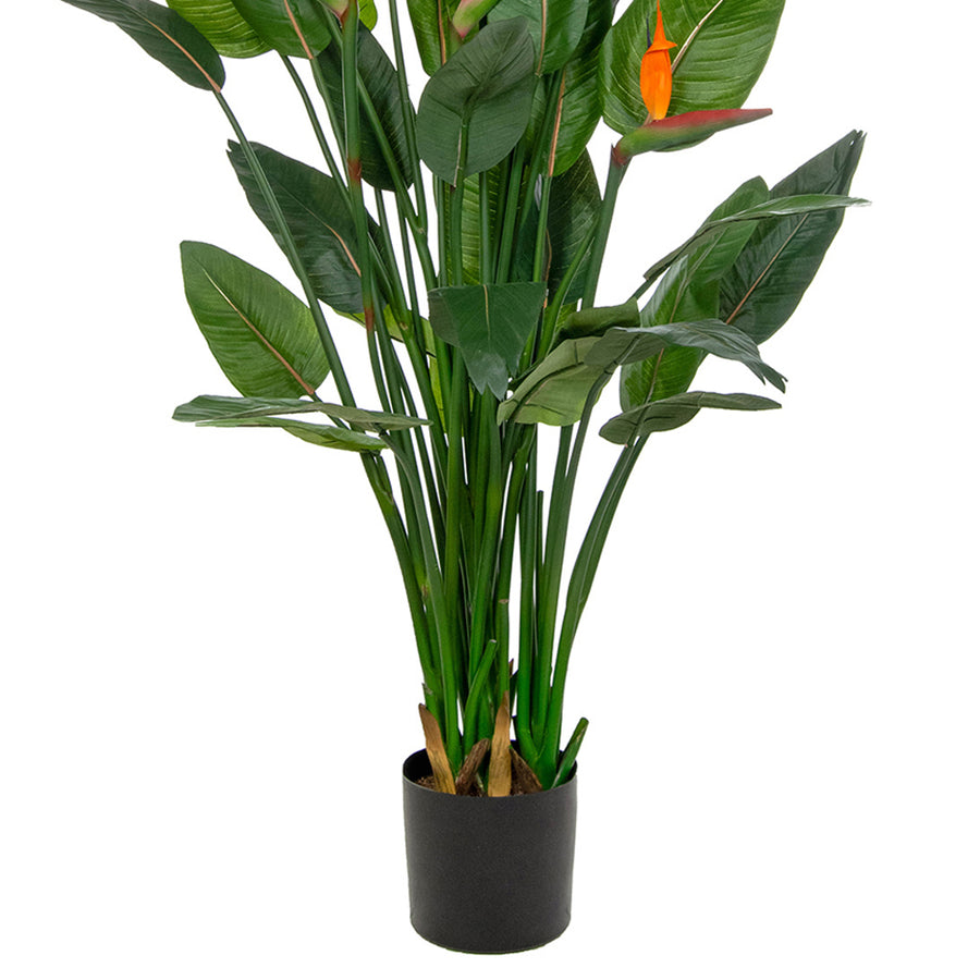 Mű strelitzia tűzgátló kivitelben, levelek és virágok közelről.