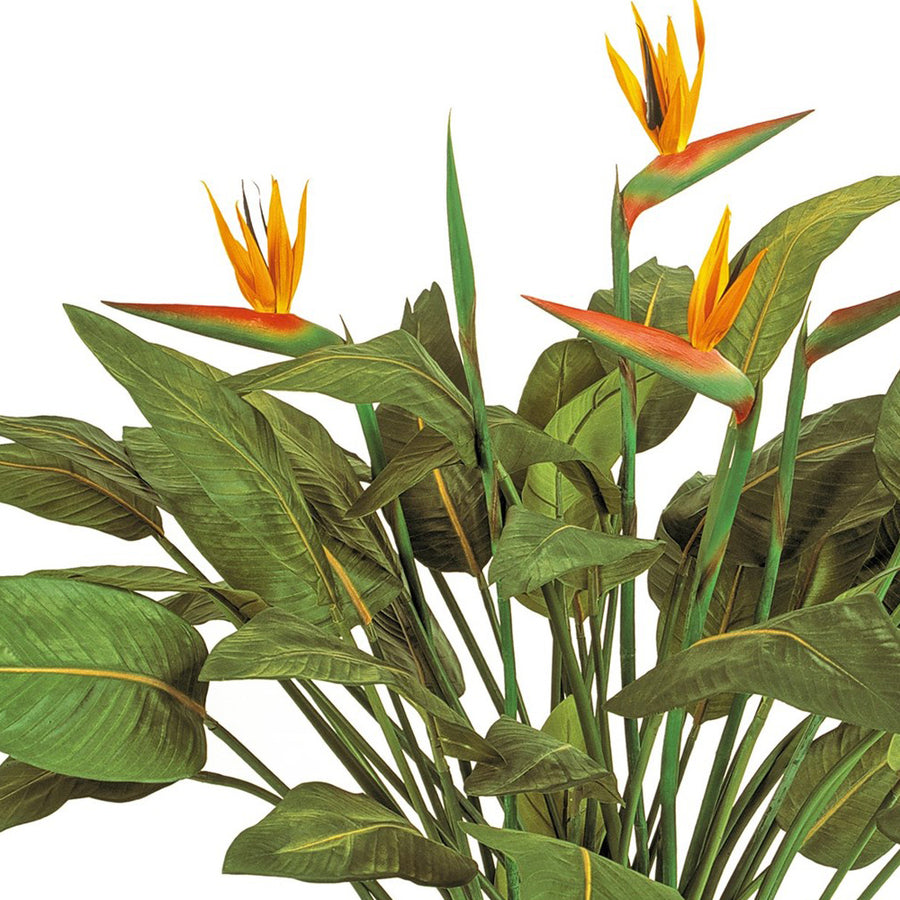 Közeli kép a Bird of Paradise mű strelitzia felső részéről, narancssárga papagájvirágokkal és részletes zöld levelekkel.