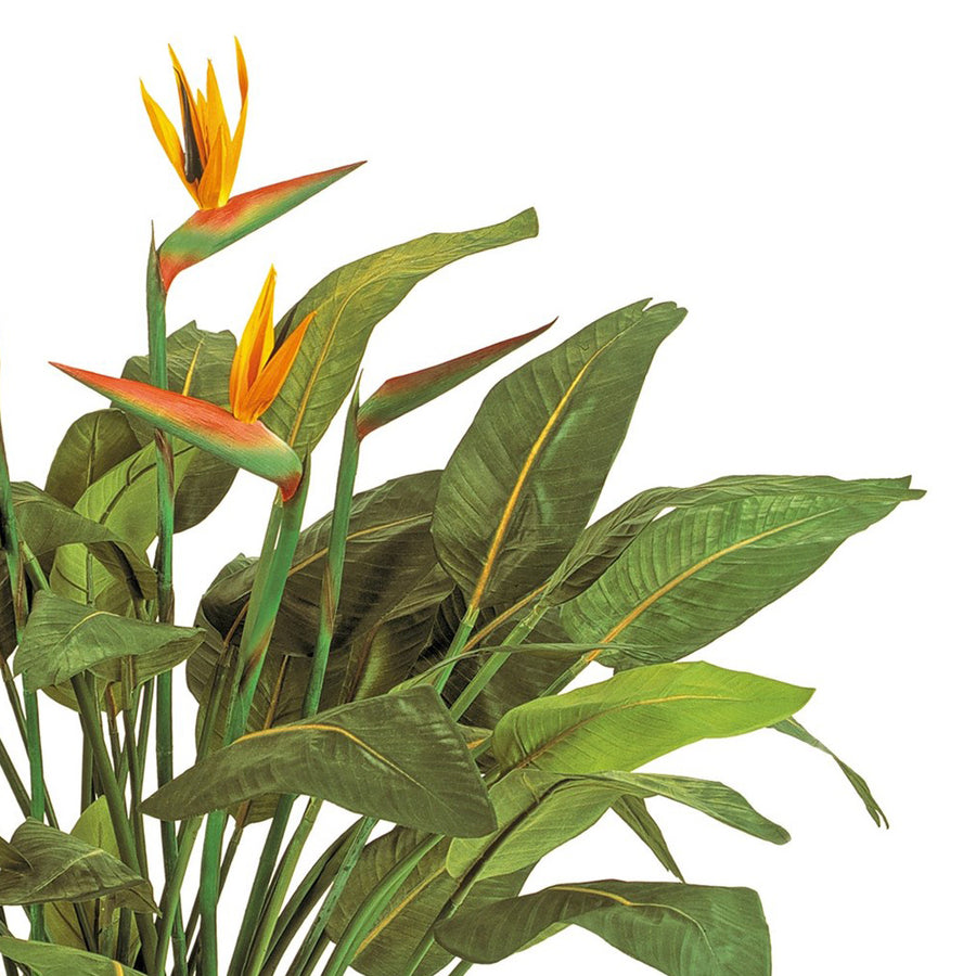 Részletfotó a Bird of Paradise mű strelitzia leveleiről és virágairól, élethű textúrával és élénk színekkel.