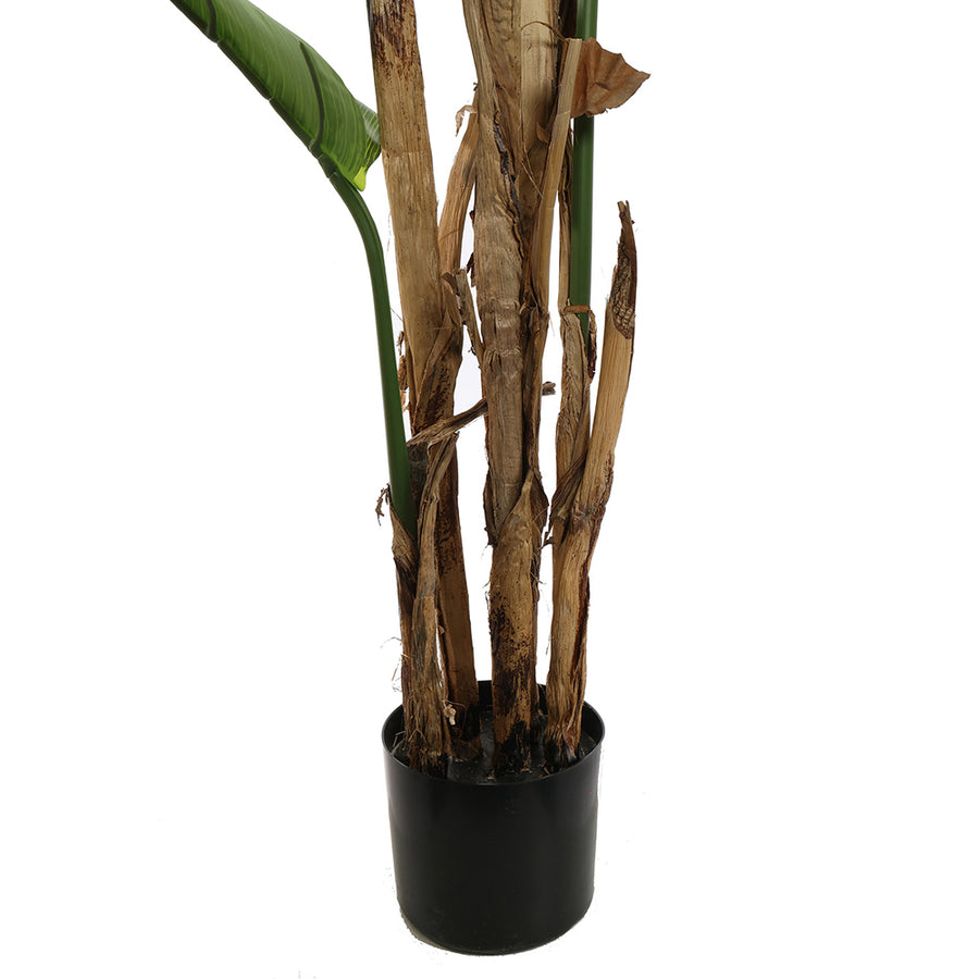 Bird of Paradise papagájvirág levelek és törzs élethű kidolgozással.