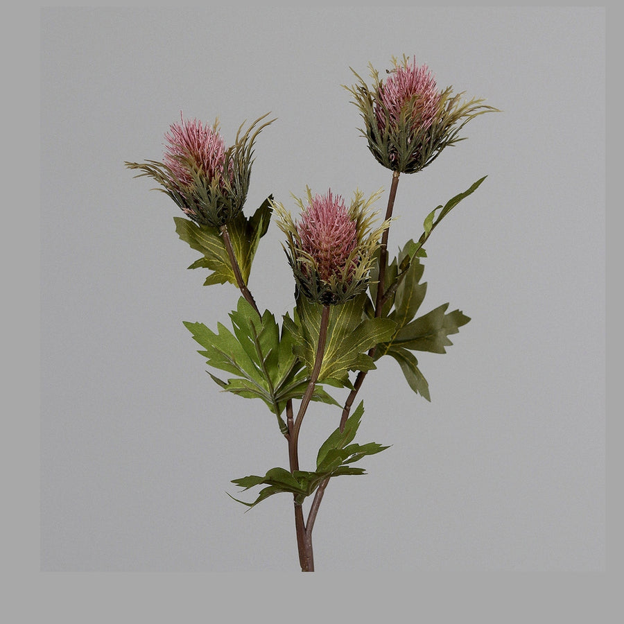 Fáradt pink színárnyalatú bogáncs művirág.