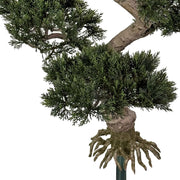 Göcsörtös törzs és látszó gyökérzet közelről – realisztikus bonsai dekor.