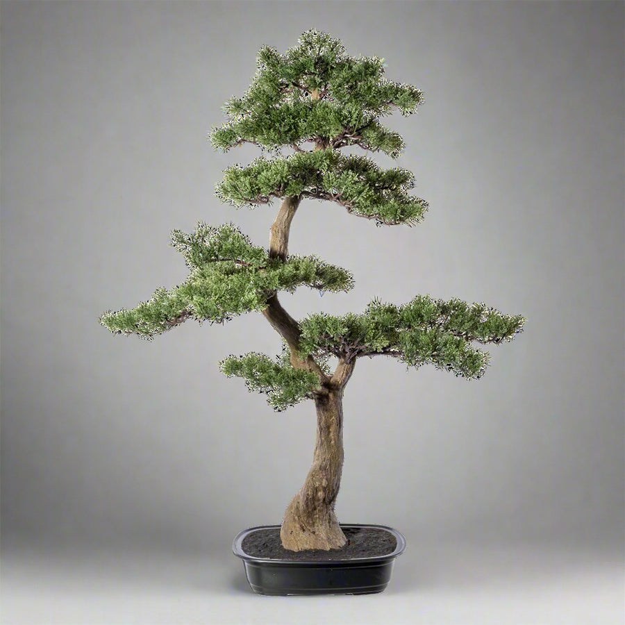 Zöld színű, mű cédrus bonsai fa, fekete színű ovális műanyag cserépben.