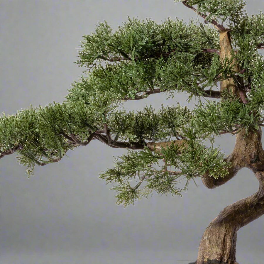 Mű cédrus bonsai fa, fekete színű ovális műanyag cserépben.