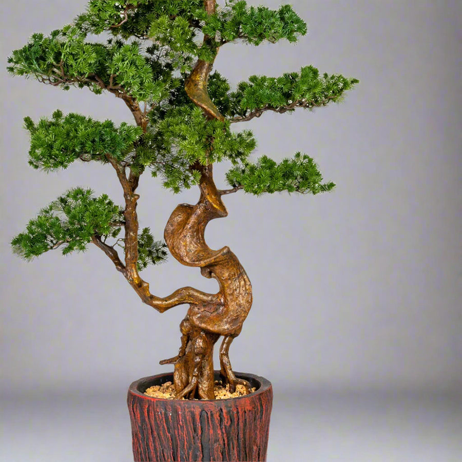 Mű vörösfenyő bonsai fa, farönk szerű kaspóban.