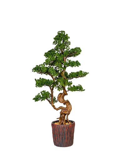 Mű vörösfenyő bonsai fa, farönk szerű kaspóban.