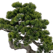 Zöld színű, mű fenyő bonsai fa.