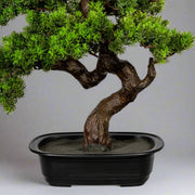 Mirtusz bonsai fa műnövény, fekete ültetőkaspóban.