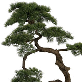 BONSAI mű fenyő bonsai fa részletgazdag lombkoronával és ívelt törzzsel