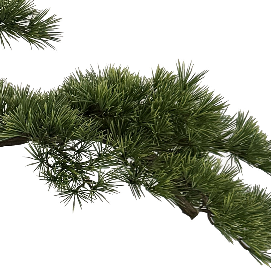 BONSAI mű fenyő bonsai fa sűrű zöld lombkoronájának közeli felvétele