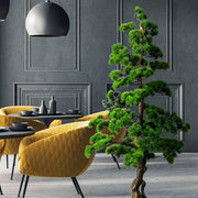 Zöld mű bonsai fenyő fekete kaspóban.