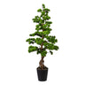 Zöld mű bonsai fenyő fekete kaspóban.