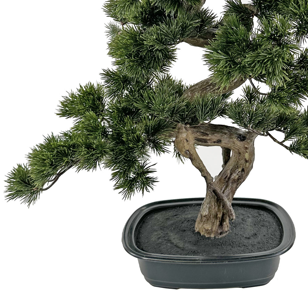 Mű bonsai fenyő ovális fekete kaspója. 