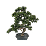 Zöld színű, mű fenyő bonsai fa, fekete színű, ovális műanyag cserépben.
