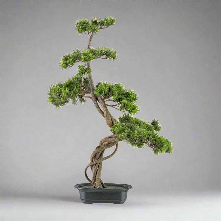 Mű fenyő bonsai fa, fekete színű műanyag cserépben.