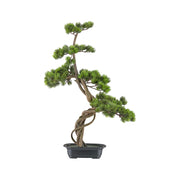 Mű fenyő bonsai fa, fekete színű műanyag cserépben.
