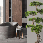 Mű fenyő bonsai fa, fekete színű műanyag cserépben.