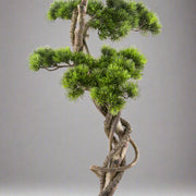 Mű fenyő bonsai fa, fekete színű műanyag cserépben.