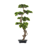 Mű fenyő bonsai fa, fekete színű műanyag cserépben.