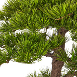 BONSAI PINUS mű bonsai közelkép valósághű fenyőtűkkel és természetes hatású lombkoronával