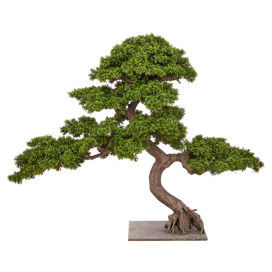 BONSAI PODOCARPUS óriás zöld mű kőtiszafa bonsai fa 200 cm természetes hatású törzzsel és dús lombkoronával
