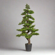 Zöld színű, mű tea bonsai fa, fekete színű műanyag cserépben.