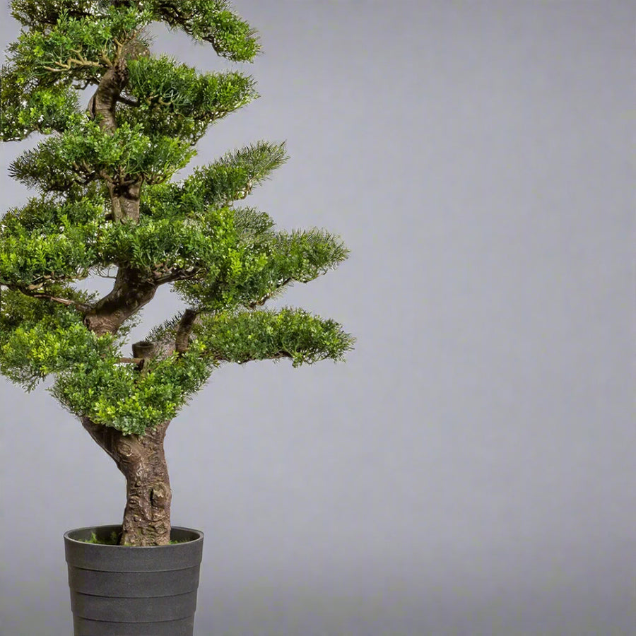 Zöld színű, mű tea bonsai fa, fekete színű műanyag cserépben.