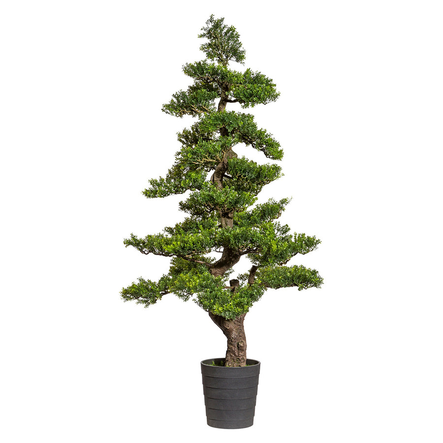 Zöld színű, mű tea bonsai fa, fekete színű műanyag cserépben.