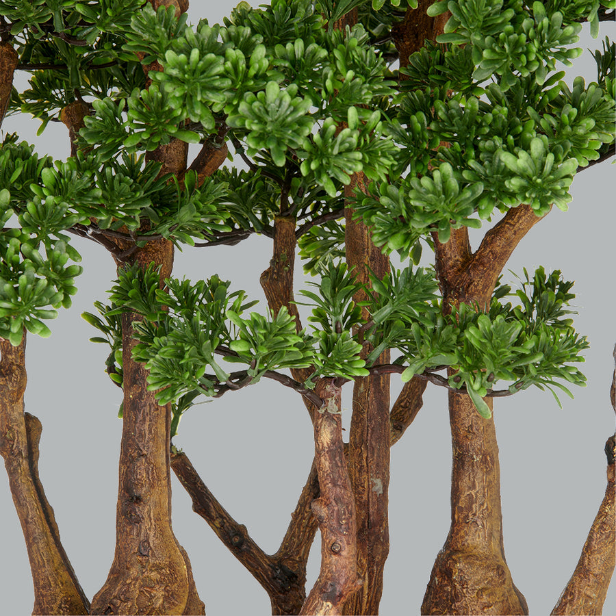 Zöld színű, mű tea bonsai fa, fekete színű műanyag cserépben.