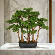 Zöld színű, mű tea bonsai fa, fekete színű műanyag cserépben.