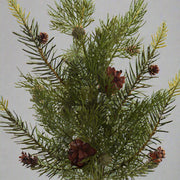 Közeli fotó a CEDRUS zöld mű cédrusfenyő ágról, természetes hatású zöld tűlevelekkel és apró barna tobozokkal.