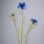 Kék színű, mű búzavirág.