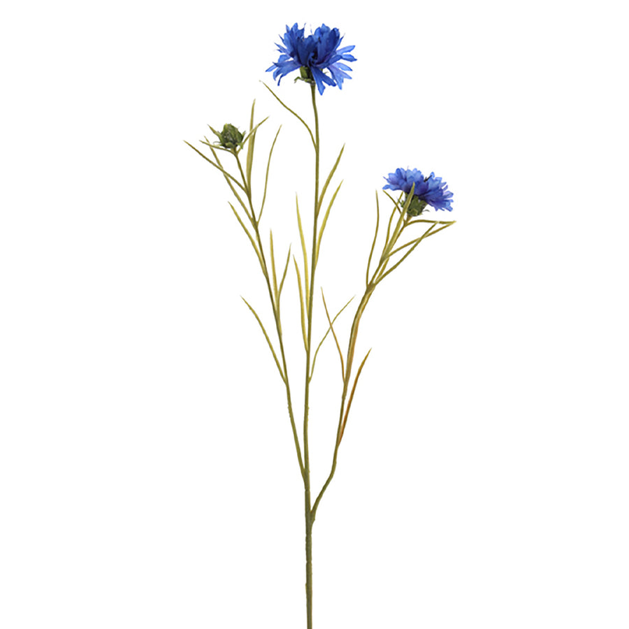 Kék színű, mű búzavirág.