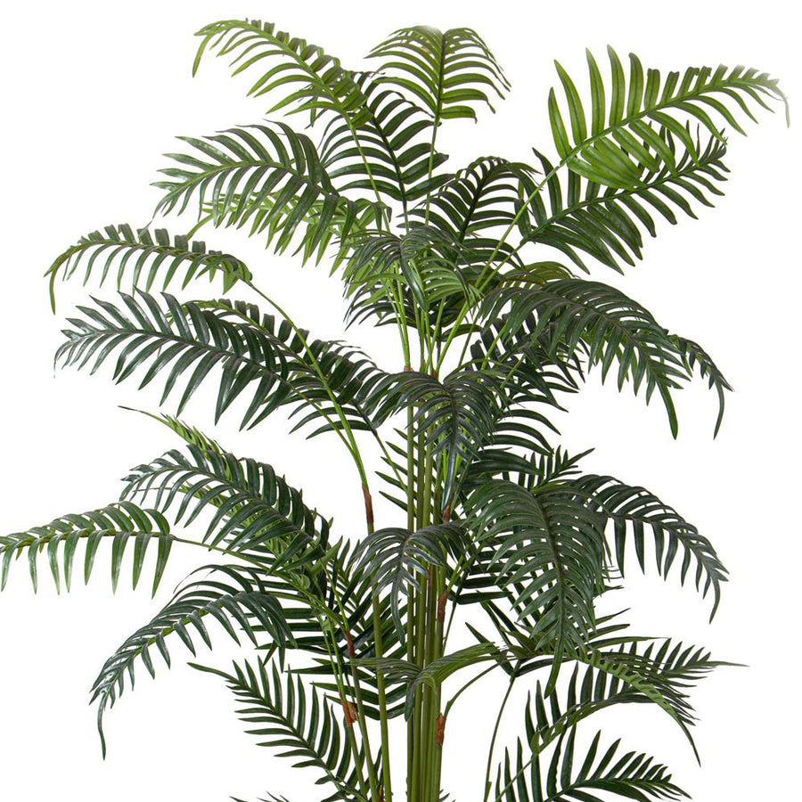 CHAMADOREA zöld mű mexikói bambuszpálma 180 cm