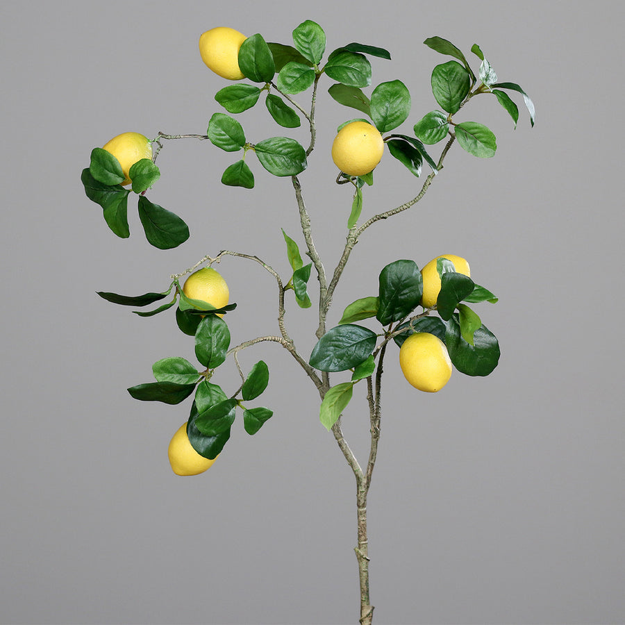 dekor mű citrom ág magas vázába mediterrán stílushoz
