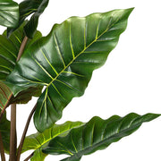 Közelkép a COLOCASIA műnövény sötétzöld leveleiről és sárga erezetéről, részletgazdag textúrával