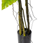 COLOCASIA mű bokor törzse és gyökérszálai fekete műanyag kaspóban, természetes hatással