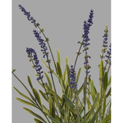 Fekete színű műanyag cserépbe helyezett, mű levendula bokor.