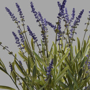 Fekete színű műanyag cserépbe helyezett, mű levendula bokor.