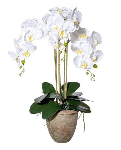 Fehér színű mű orchidea, rusztikus terrakotta kaspóban.