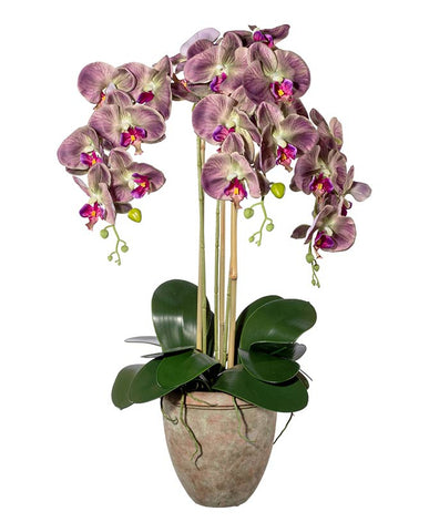 Lila színű mű orchidea, rusztikus terrakotta kaspóban.