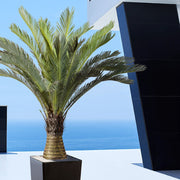 Élethű CYCAS REVOLUTA mű cikász pálma 130 cm magas, modern kültéri elhelyezésben