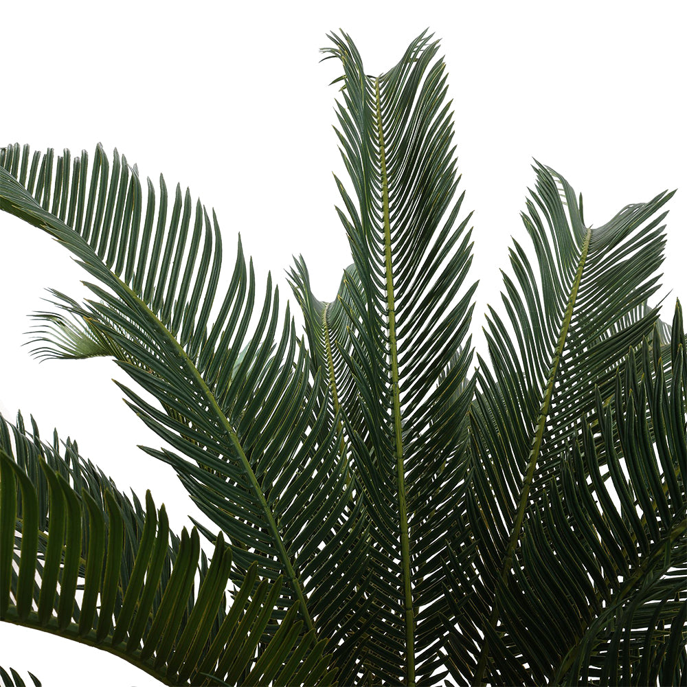 CYCAS REVOLUTA mű pálma felső lombkorona közelről, élethű megjelenéssel