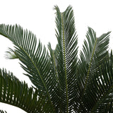 CYCAS REVOLUTA mű pálma felső lombkorona közelről, élethű megjelenéssel