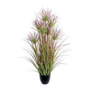 CYPERUS mű ciprusfű bokor 95 cm fekete kaspóban