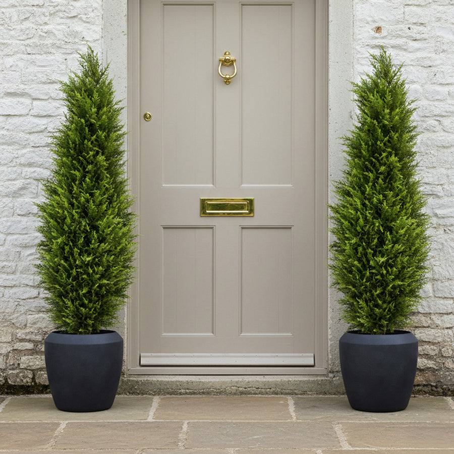 CYPRESS mű ciprus párban elhelyezve bejárati ajtó mellett fekete kaspóban