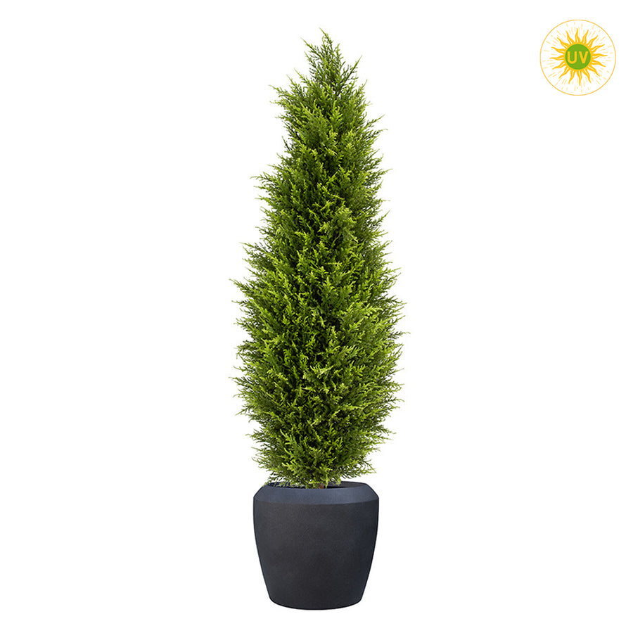 UV-álló zöld mű ciprus fekete kaspóban 150 cm fehér háttér előtt