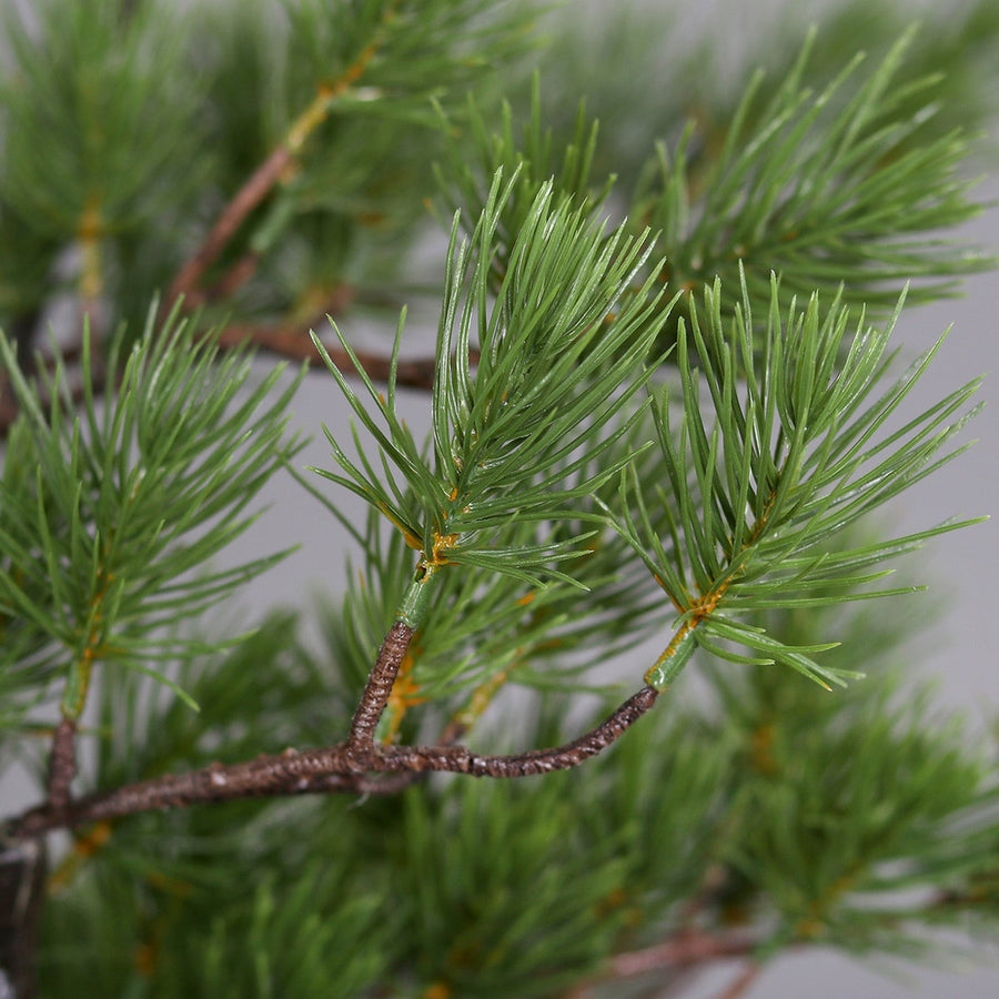 Jutazsákba helyezett dekorációs műfenyő.
